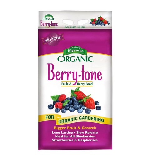 Alimento frutta bacche tono - alimento, e