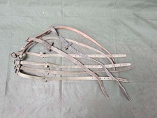 Cinghietto Italiano gavetta