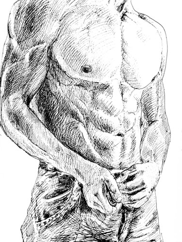 Torso nudo maschile - , originale