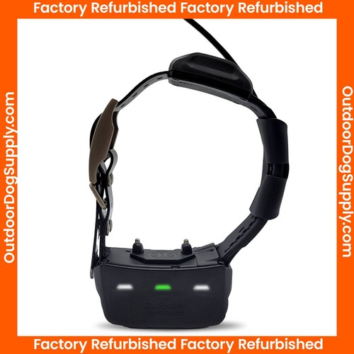 Collare garmin tt15 - garmin,