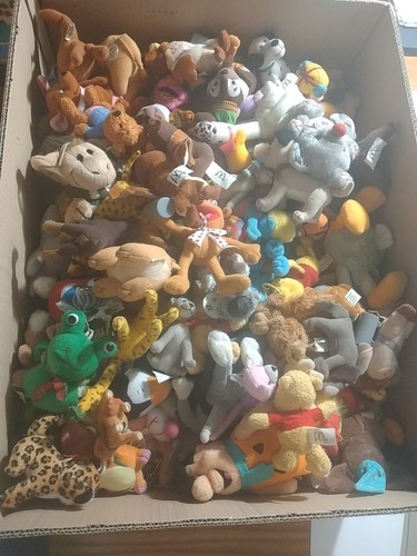 Lotto enorme scatola peluche - lotto,