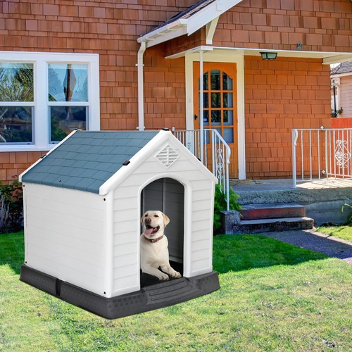 Cuccia per cani resistente - cani,