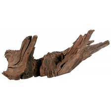 Radice naturale mangrovia - radice,