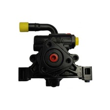 Pompa Servosterzo Citroen