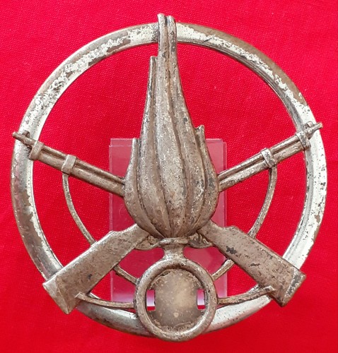 Fregio fanteria esercito - fregio,