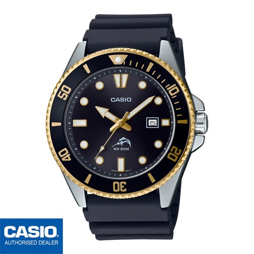 CASIO