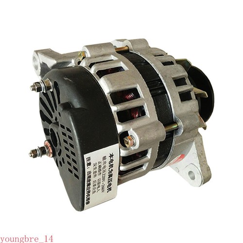 Puleggia 220v magnete - 220v,