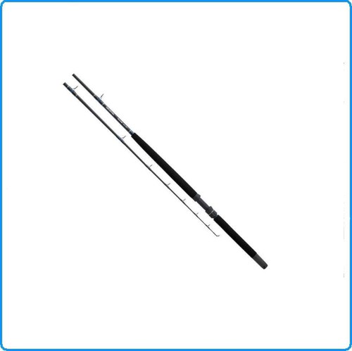 Canna daiwa sealine - canna,