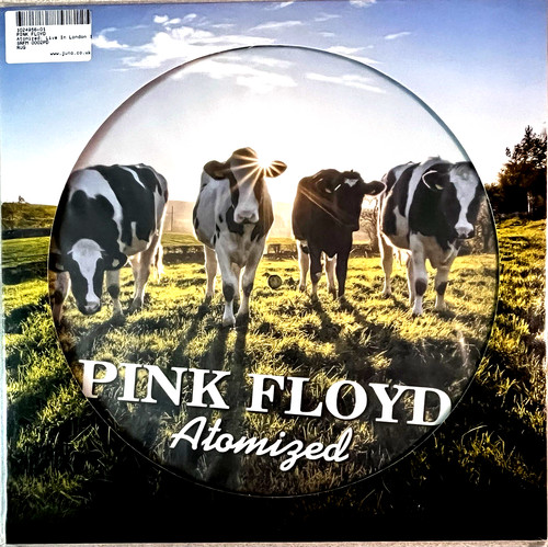 Pink floyd picture - floyd, disc-