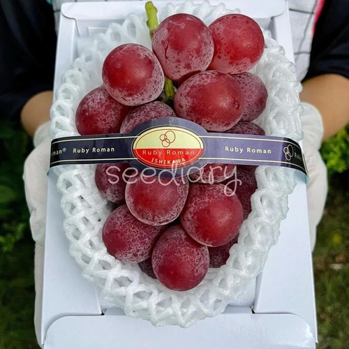 Uva rosso rubino gioiello - uva,
