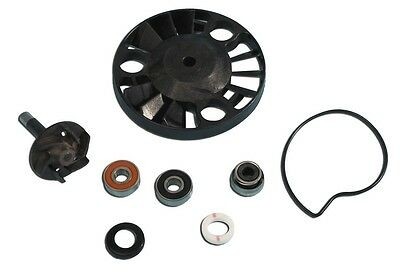Aa00817 kit revisione pompa - revisione,