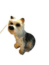 YORKY ? FIGURA CANE YORKSHIRE