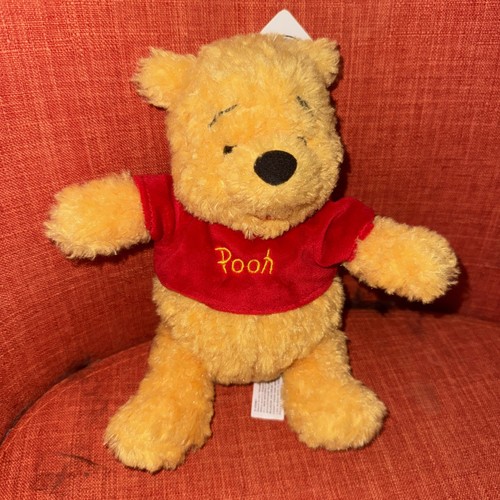 Nwt disney parks winnie the - nwt,