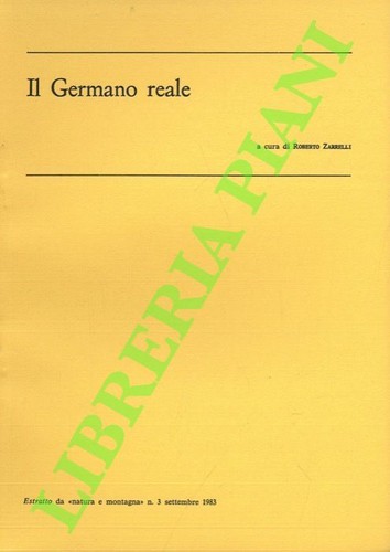 Il - -,