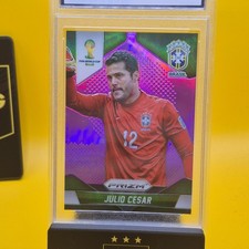 WC Julio Cesar 2014 Panin