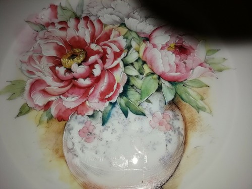 Piatto collezione decoro - collezione,
