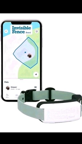 Recinzione invisibile gps flex - recinzione,