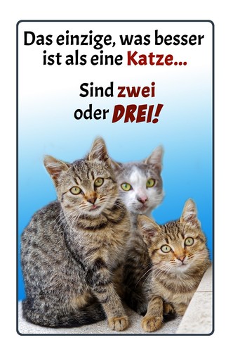 Insegne top varie - top,, un
