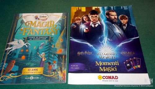 Album harry potter momenti - harry,