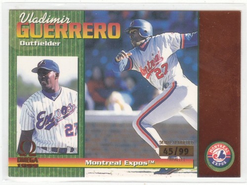 Omega vladimir guerrero - vladimir,