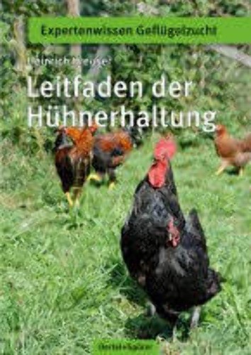 Guida alla gallina - guida,
