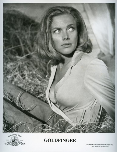 Foto stampa golfinger - foto,