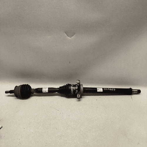 Semialbero ant compl dx - ant.,