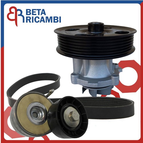 Kit cinghia tendicinghia - kit,