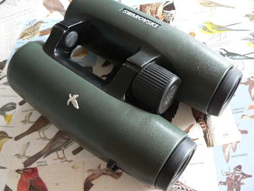 Binocolo prisma tetto - binocolo,
