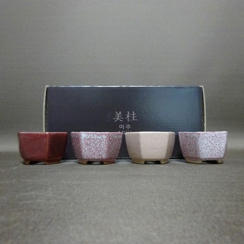 Miju mini vaso per - bonsai, set