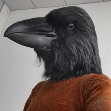 ? Maschera Corvo Nera in Lattice – Cosplay Horror Becco Lungo- Masquerade