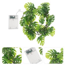 Cavo Foglia Luce Monstera Fata