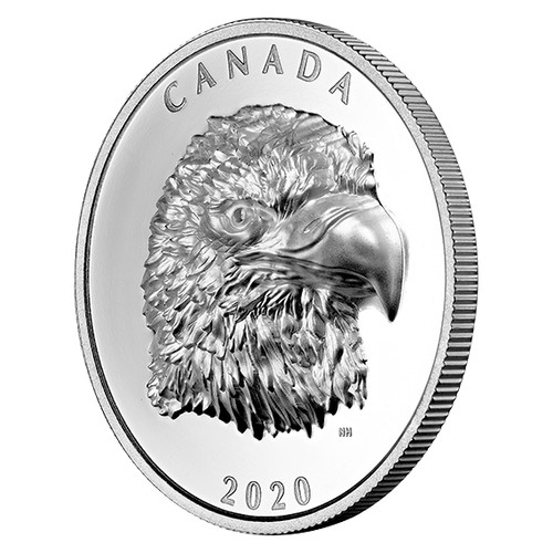 Dollaro proud bald - 25$,