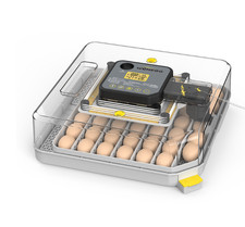 Incubatrice 48 Uova Automatica