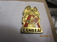 PIN'S  TOURISME  /GEANTS  DU