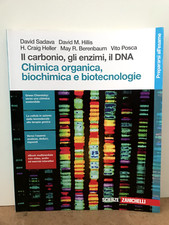 Il carbonio, gli enzimi, il