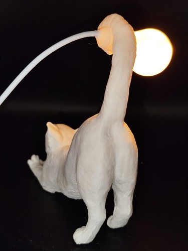 Lampada gatto in - 🐱,