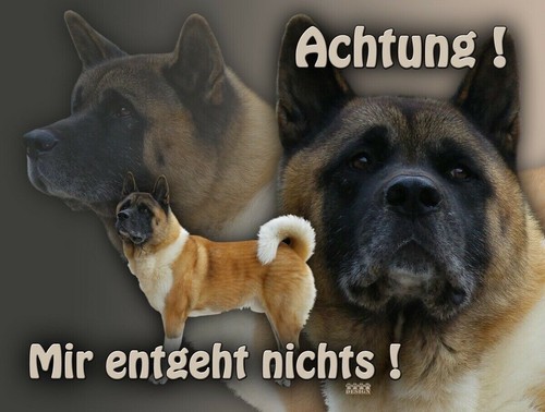 Targa avvertimento per cani - per,