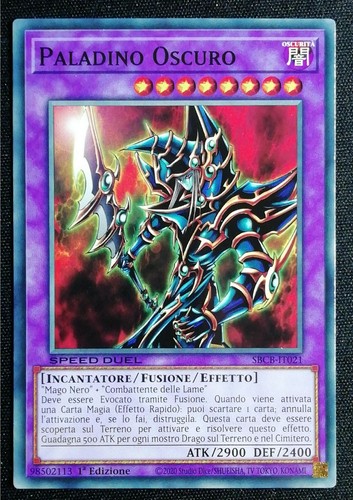 Paladino oscuro comune - paladino, in