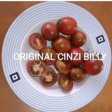 25 semi pomodoro Camone ( semi