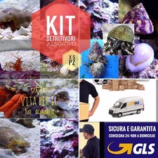 ✅Shock Pack Pulitori