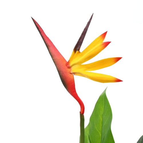 Vidaxl pianta artificiale - vidaxl,