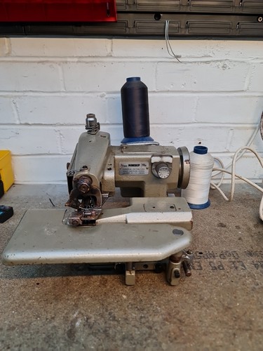Anglo model professional - anglo, aa