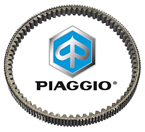 845010 cinghia trasmissione - -,