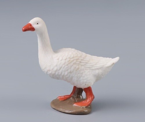 Anatra bianca animale - anatra,