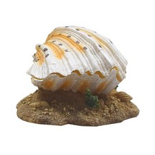  Decorazioni Per Acquario