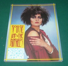 SIOUXSIE AND THE BANSHEES - RARO LIBRO CON FOTO E TESTI EDITORE AGONIA PUNK