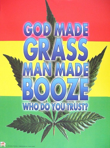 Cannabis marijuana grass - marijuana,