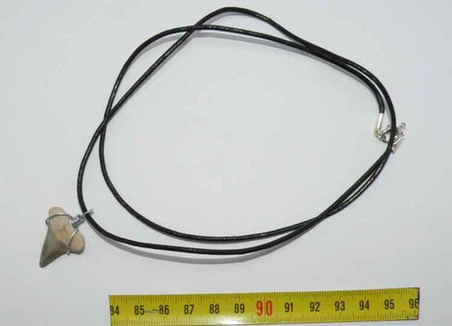 Collana pendente dente - collana, di