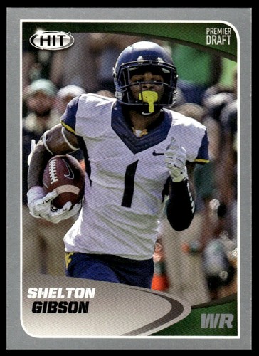 2017 sage hit - 2017, shelton